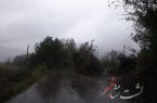 کاهش دمای هوا در گیلان | احتمال بالا آمدن آب رودخانه و آبگرفتگی معابر