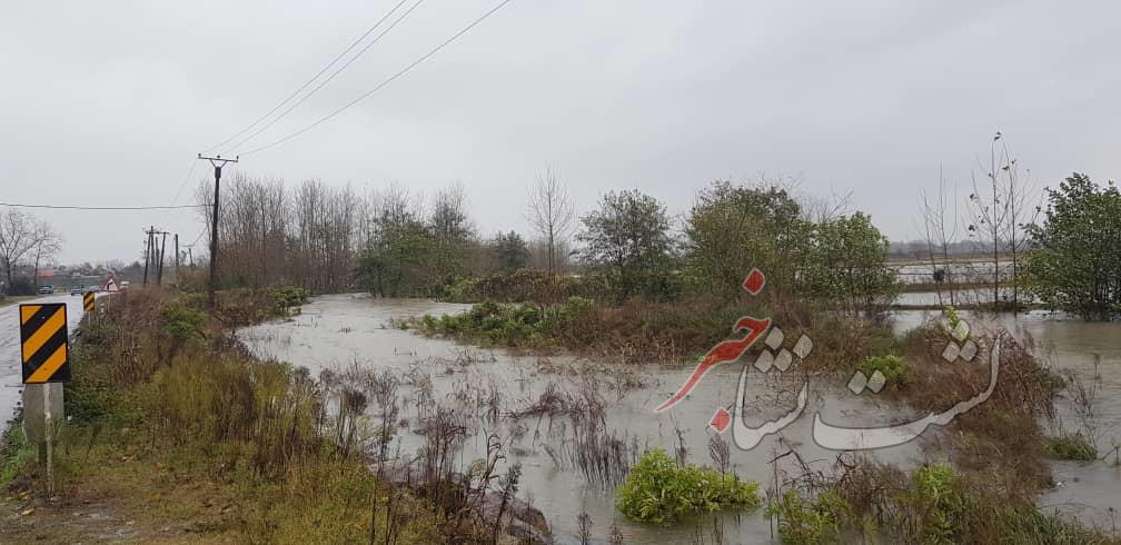 راه ارتباطی ۲۰ خانوار در روستای چالکش لات مسدود شد | آمادگی بخش لشت‌نشا جهت بارش احتمالی برف