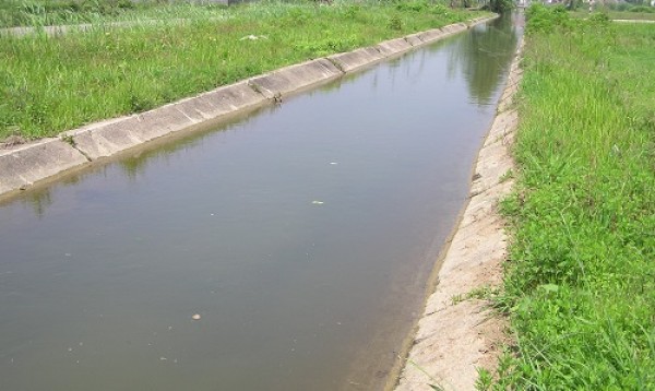 قطع آب کشاورزی اراضی شالیزارهای مناطق مرکزی گیلان