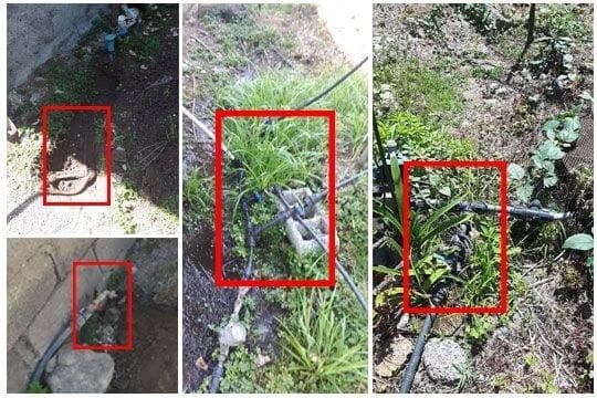 انشعابات غیرمجاز قانونی می‌شوند | مهلت تعیین شده قابل تمدید نیست