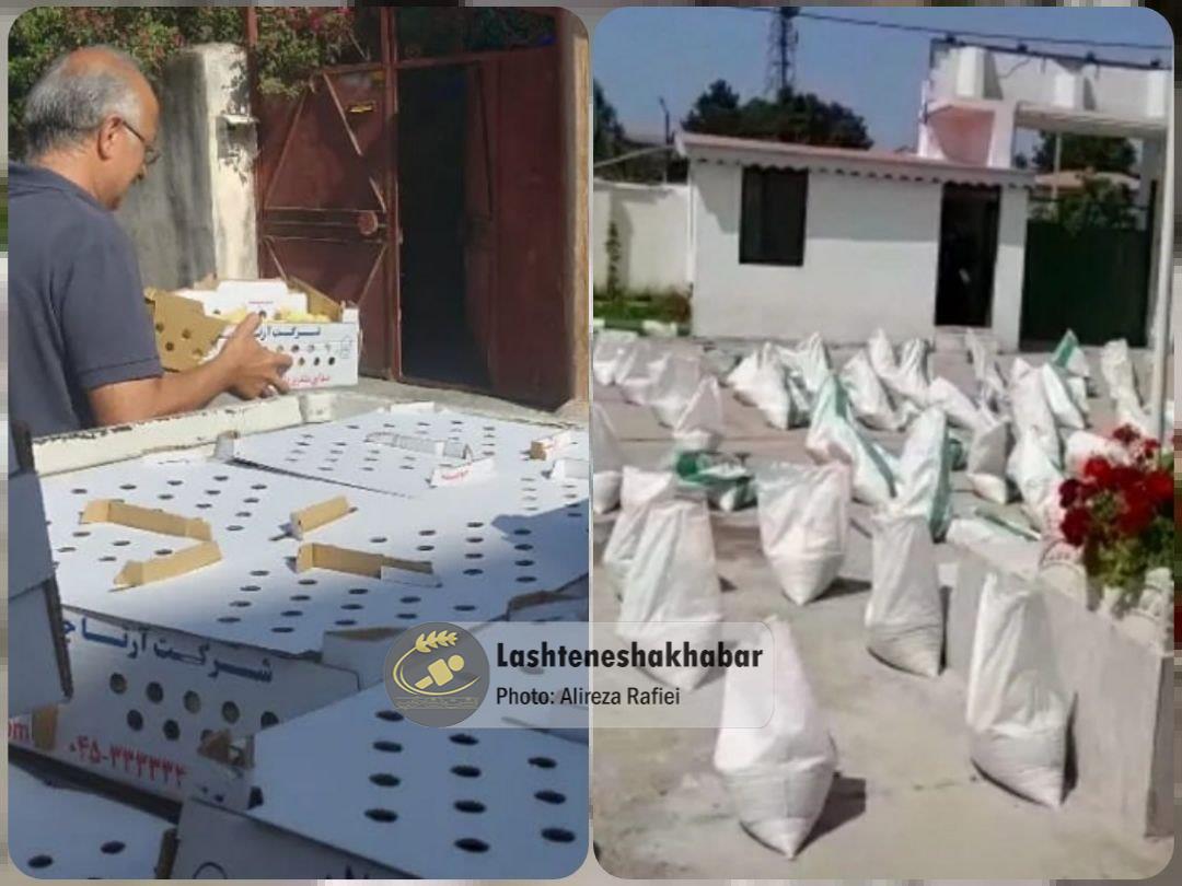 توزیع کود رایگان بین کشاورزان و مرحله چهارم پخش جوجه در لشت نشا