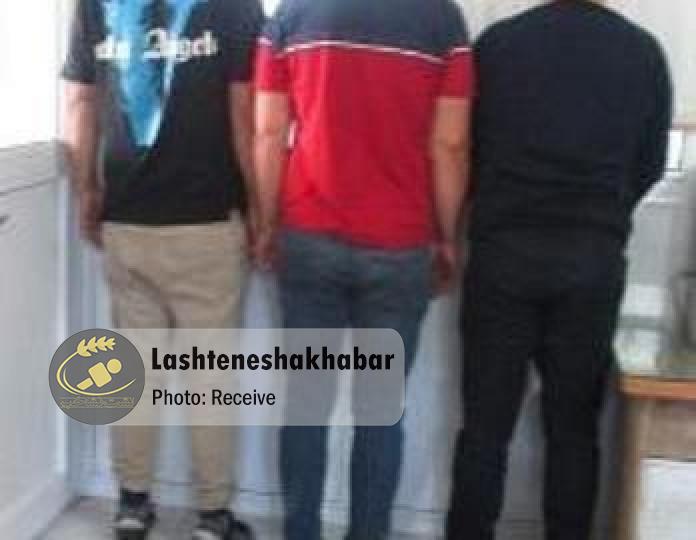 عاملان قدرت‌نمایی، شرارت و مزاحمت منطقه زیباکنار روانه زندان شدند