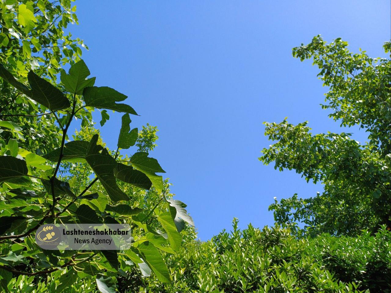 افزایش ۴ تا ۸ درجهای دمای هوای گیلان | نفوذ سامانه بارشی از چهارشنبه افزایش ۴ تا ۸ درجهای دمای هوای گیلان | نفوذ سامانه بارشی از چهارشنبه