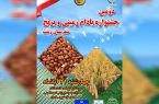 دومین جشنواره بادام زمینی و برنج در بخش لشت نشا برگزار میشود دومین جشنواره بادام زمینی و برنج در بخش لشت نشا برگزار میشود