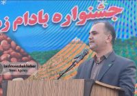 لشت ‌نشا الگوی موفق کشاورزی ترکیبی در گیلان می‌شود | احیای برنج و بادام‌زمینی لشت ‌نشا