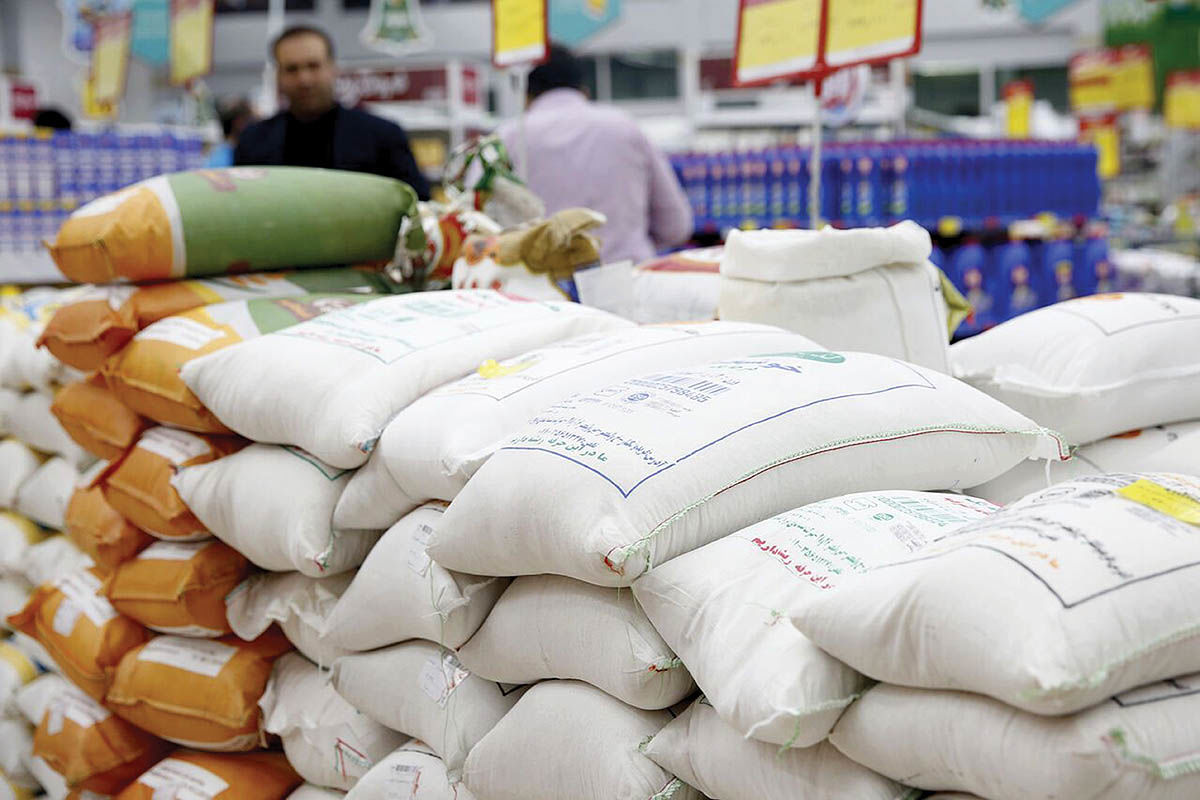دولت حمایت خود را برداشت: لغو ممنوعیت واردات برنج در فصل برداشت